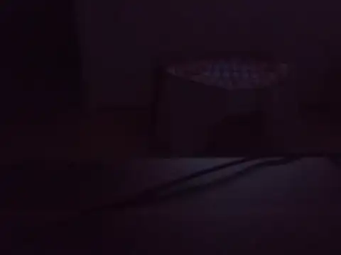 leonlive webcam