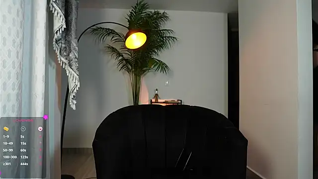 artechloe webcam