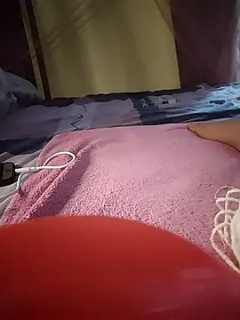 -Tara-a webcam