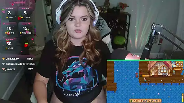 Briieverly webcam