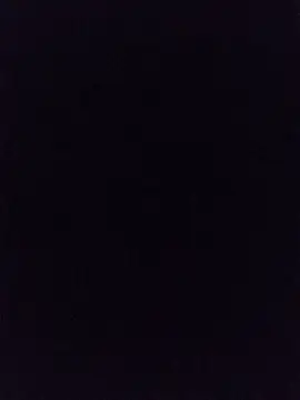 szybkastrzalka69 webcam