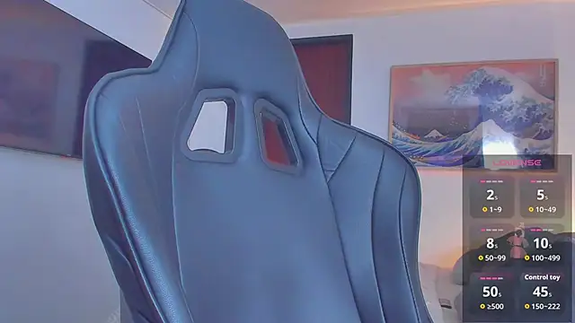RJBarto webcam
