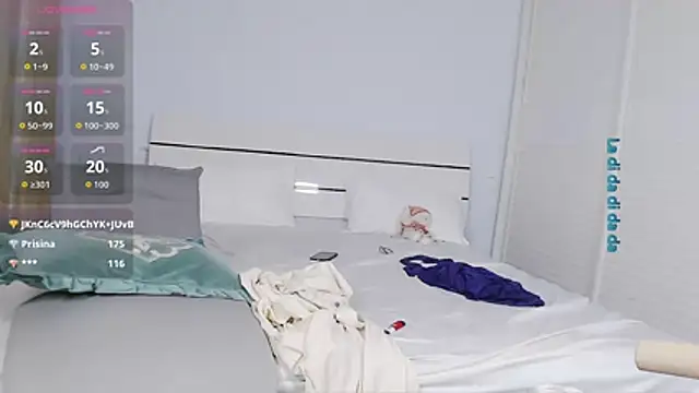 sasating webcam