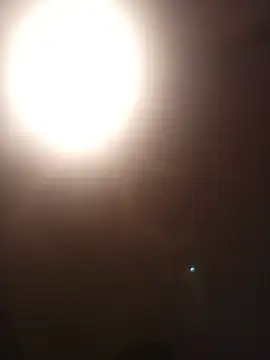 Pepoardiente30cm webcam