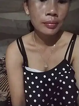 _Lynk_ webcam