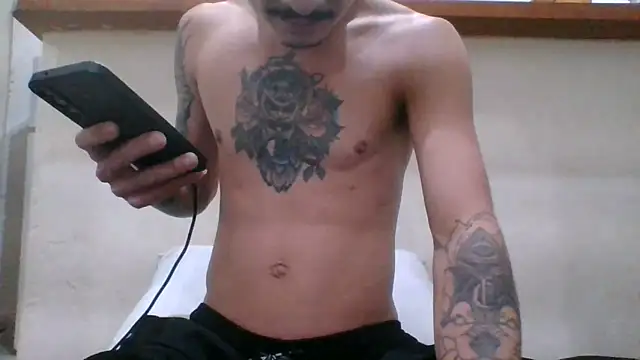 Icepappi live cam