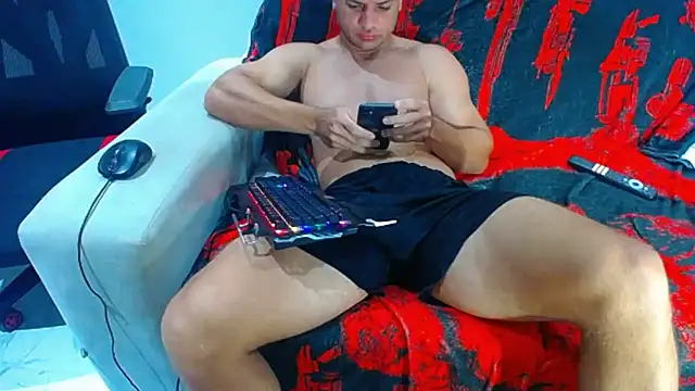 hugo_19cm webcam