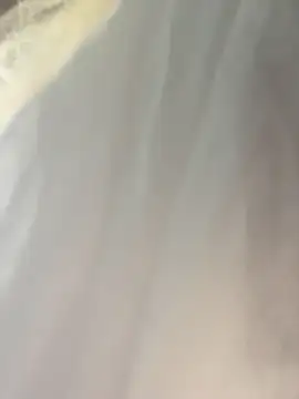 MerlinDave live cam