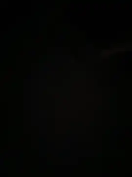 XXXPussyPunisherXXX webcam