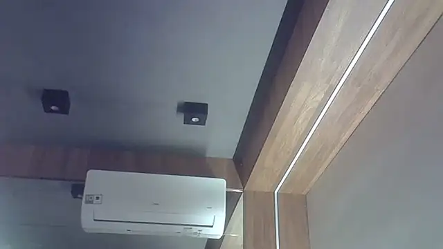 SkinnyKitten's room
