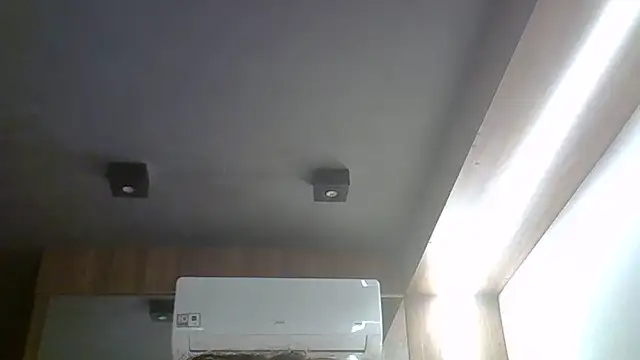SkinnyKitten webcam