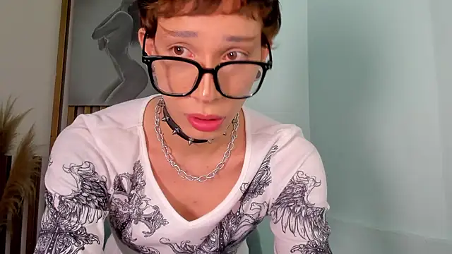 AndyWiilliams webcam