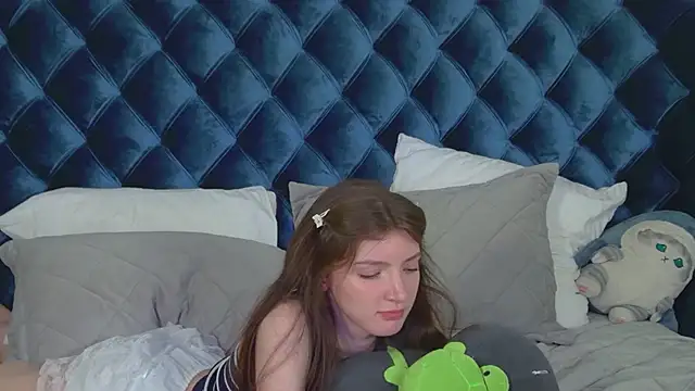SophiaProve webcam