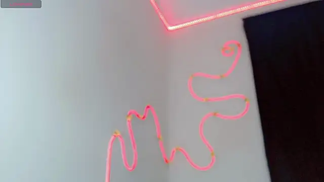 everlin_01 webcam