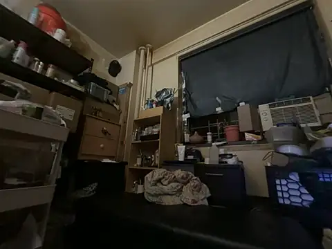 Snowbunnycake_131 webcam