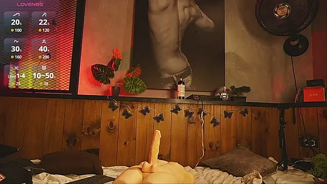 GrayAndrews webcam