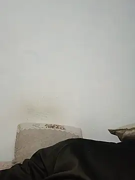 Bulletact live cam