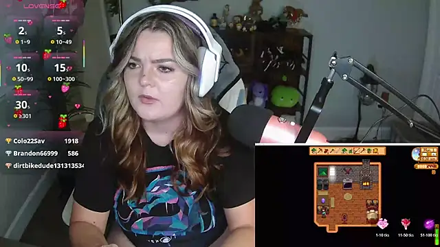 Briieverly webcam