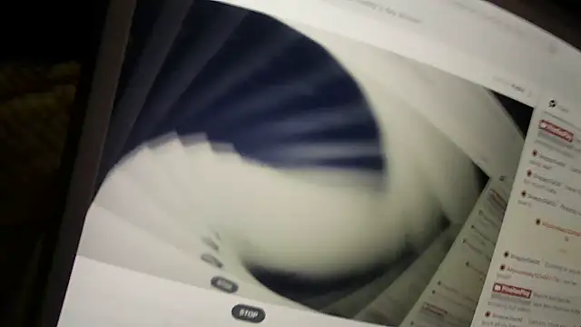 PinellasPlay webcam