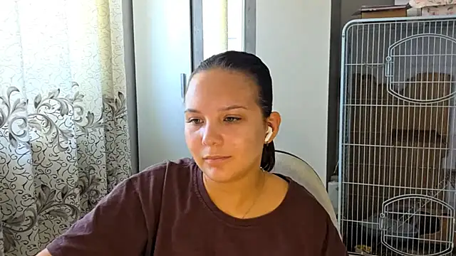 AtticNobel webcam