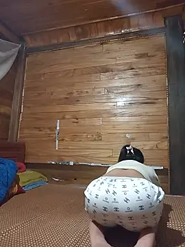 Td3di webcam