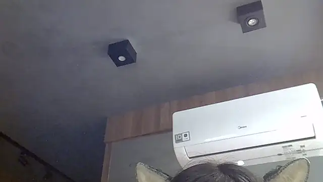 SkinnyKitten webcam