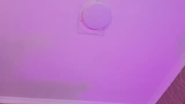 flirtyrebels webcam