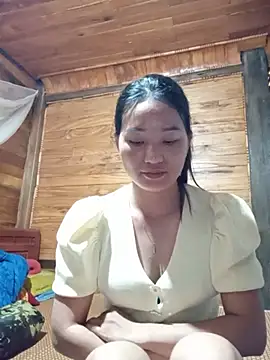 Td3di webcam