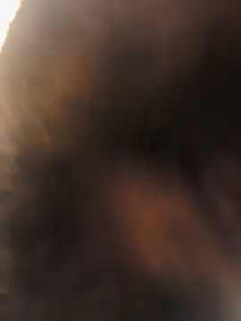originaLUND live cam