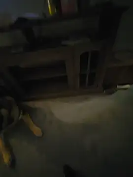 jakfrost33 webcam