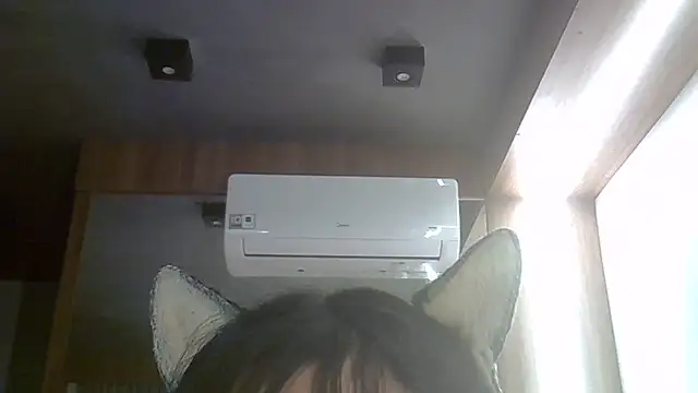 SkinnyKitten webcam