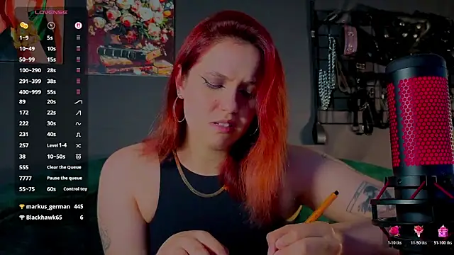 Serve_to_Alexa webcam