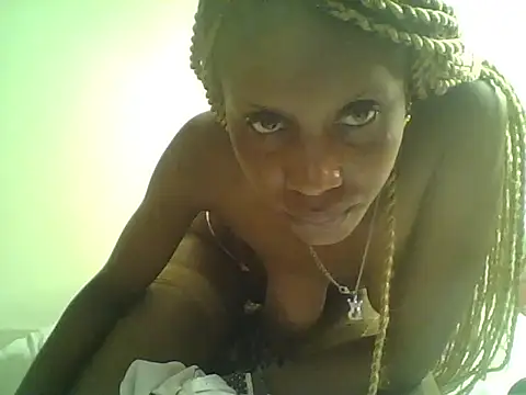 DelteAfriq webcam