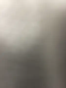 MerlinDave webcam