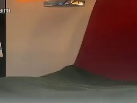 Renegade1608