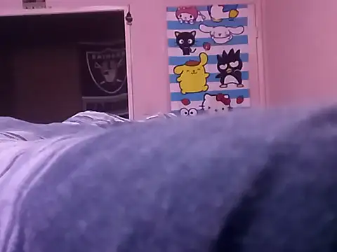 Blkstylion webcam