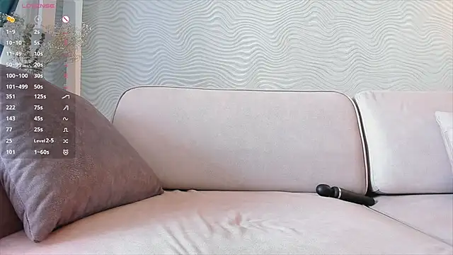 SageFrommer webcam