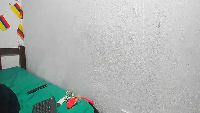 Channel_ccoco webcam