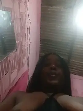 Hellentrans24 webcam