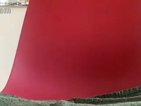 Renegade1608 live cam