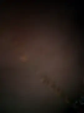 luz_94