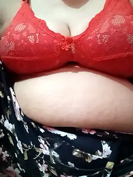 Mini_ara webcam