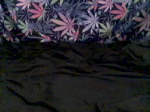 libraxxxstudios webcam