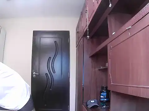 projectdivad webcam