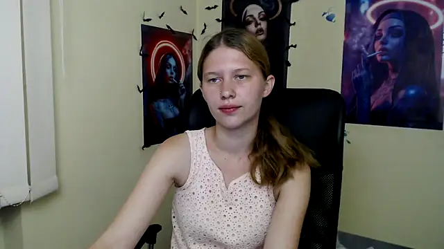 StellaCRL webcam