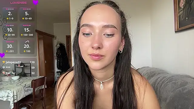 Liesenaniles webcam