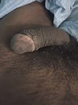 desibullboybd webcam