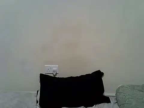 berrynova webcam