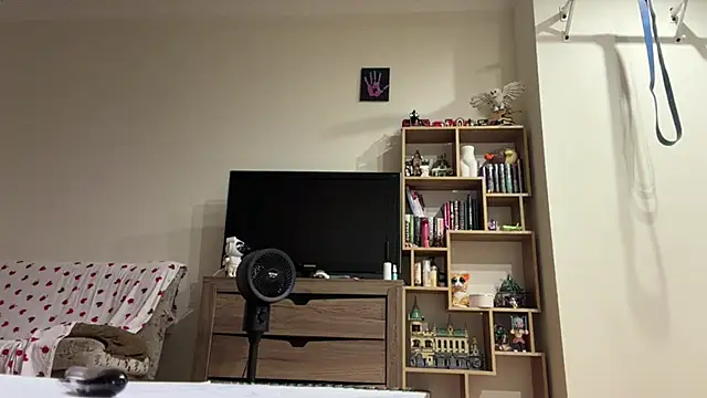 PaintedDisplay