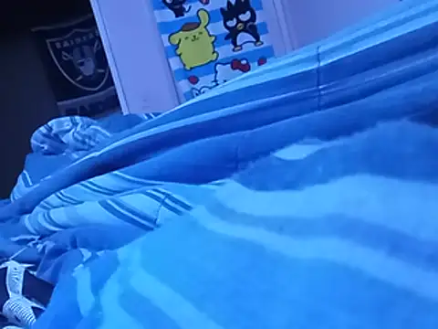 Blkstylion webcam